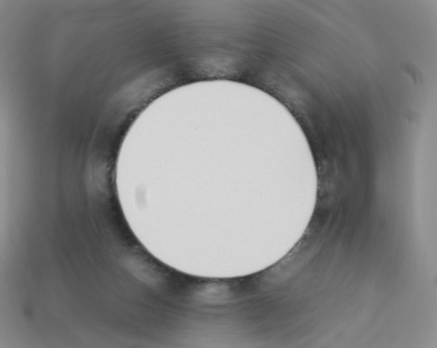 X0000113290162200910131033
