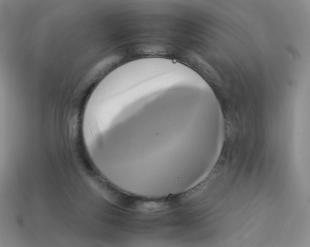 X0000113290163200910131033