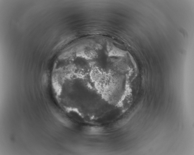 X0000113290165200910131033