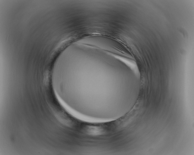 X0000113290167200910131033