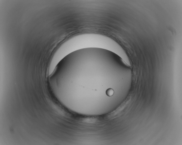 X0000113290168200910131033