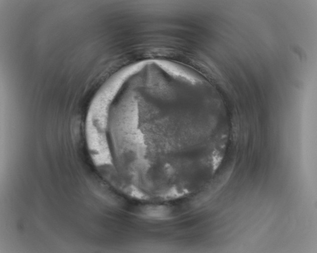 X0000113290169200910131033