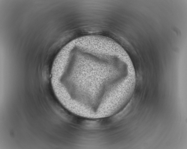 X0000113290170200910131033