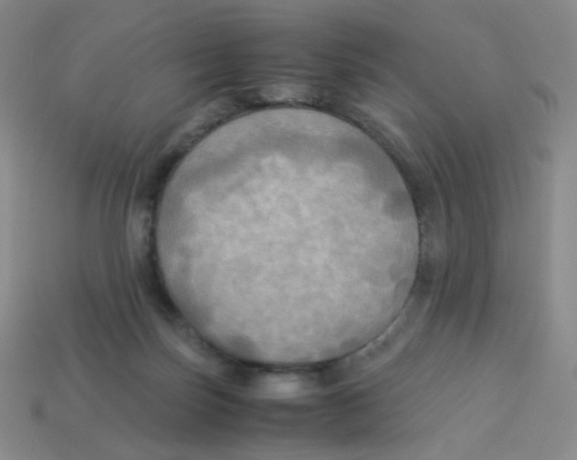 X0000113290171200910131033