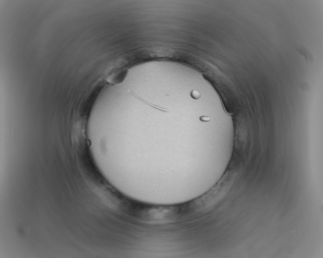 X0000113290172200910131033
