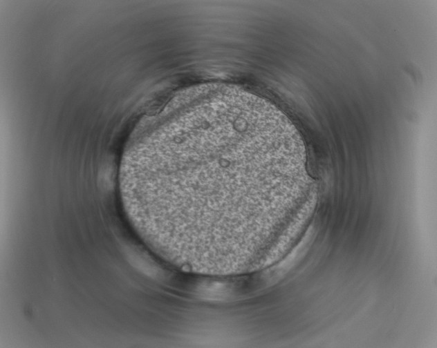 X0000113290174200910131033