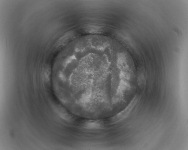 X0000113290175200910131033
