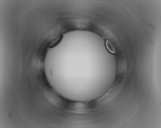 X0000113290176200910131033