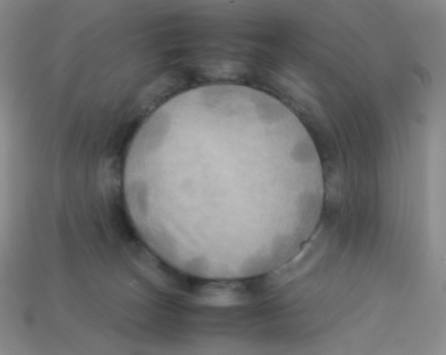 X0000113290179200910131034