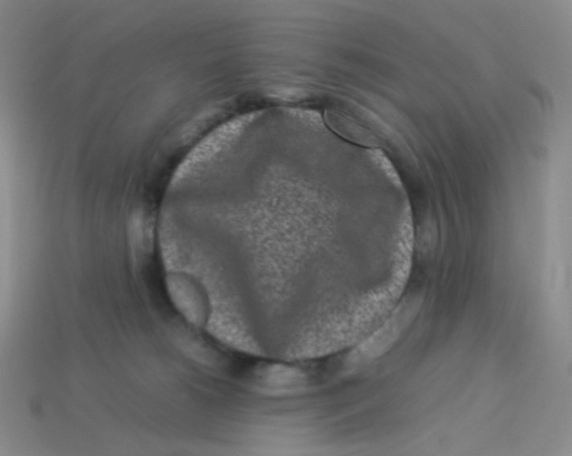 X0000113290180200910131034