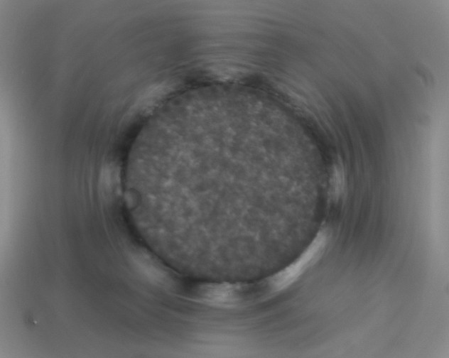 X0000113290182200910131034