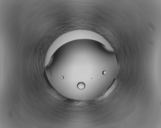 X0000113290186200910131034