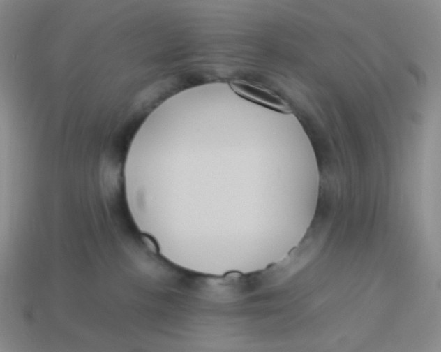 X0000113290188200910131034