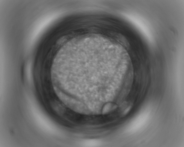 X0000113290189200910131034