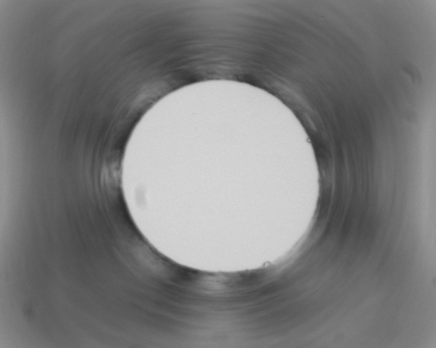 X0000113290190200910131034