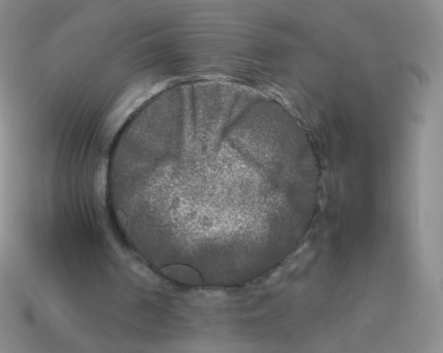 X0000113290194200910131033