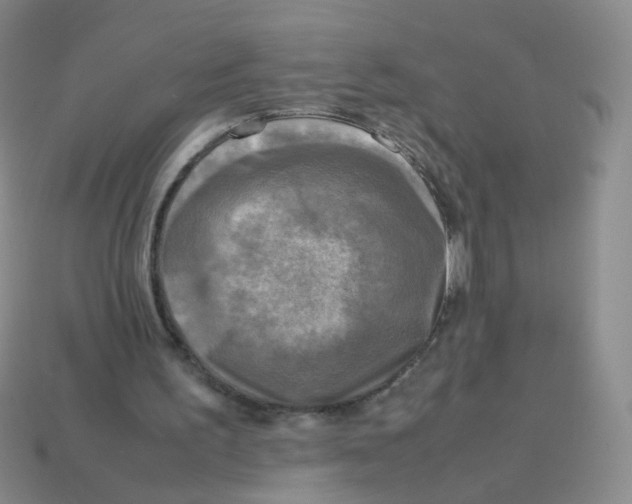X0000113290195200910131033
