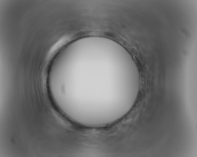 X0000113290197200910131033