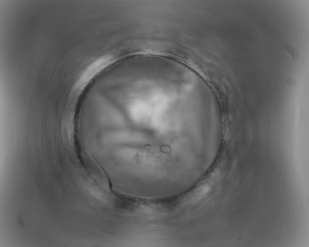 X0000113290199200910131033