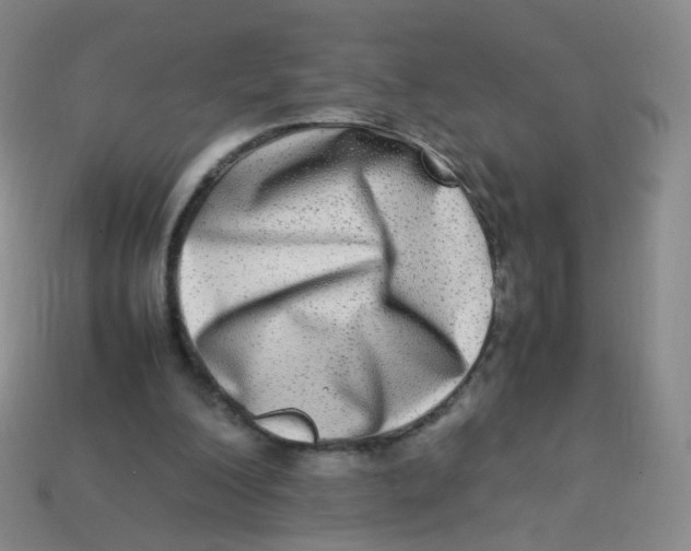 X0000113290200200910131033