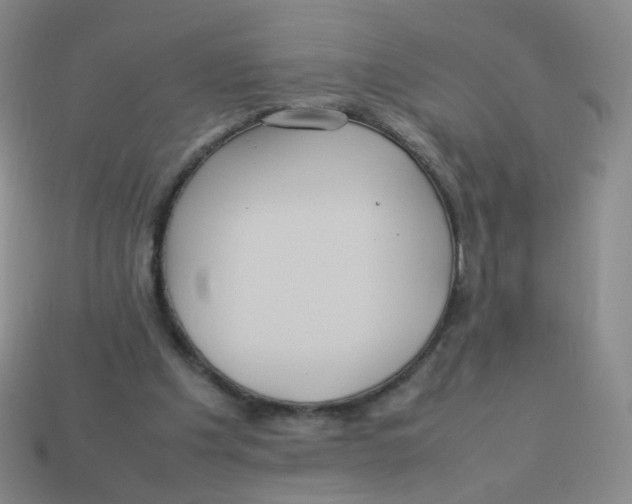 X0000113290201200910131033