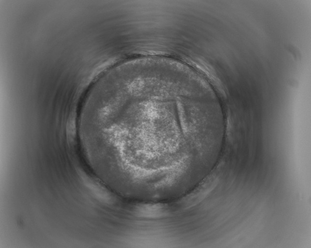 X0000113290202200910131033