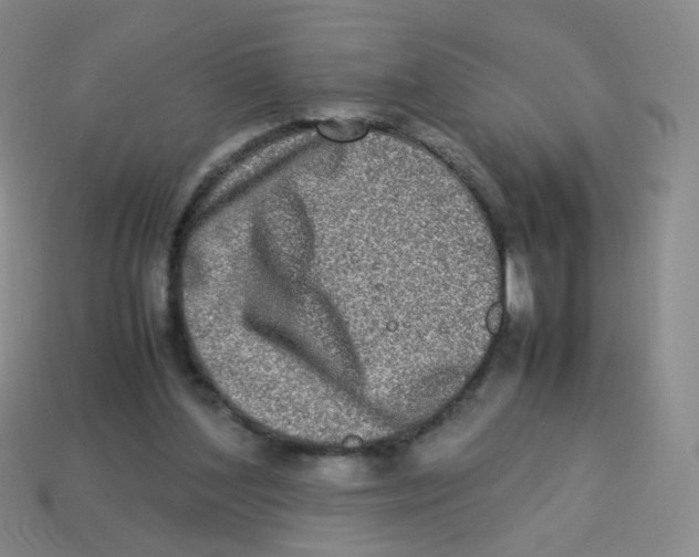 X0000113290204200910131033