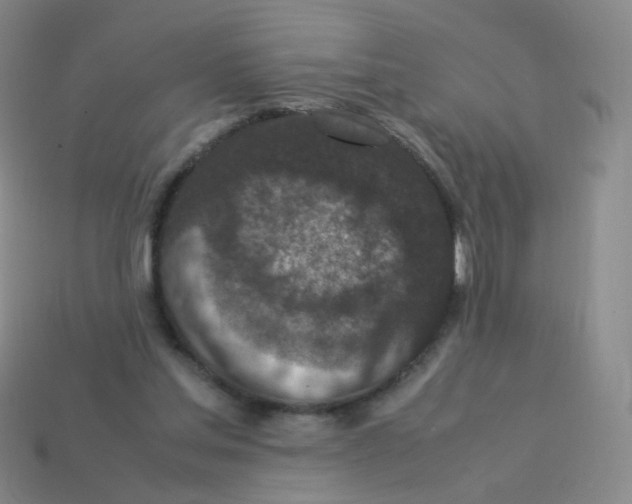 X0000113290205200910131033