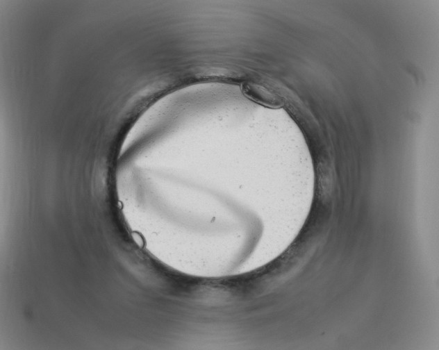 X0000113290207200910131033
