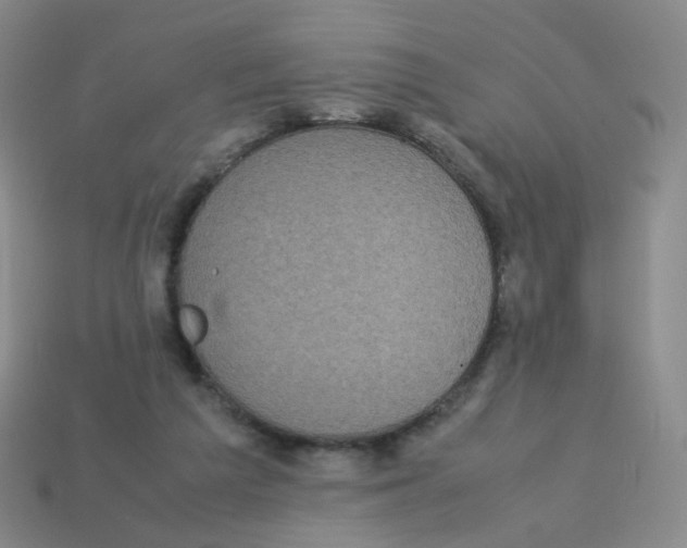X0000113290209200910131033