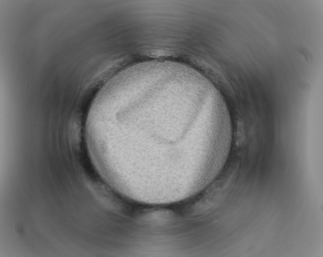 X0000113290210200910131033