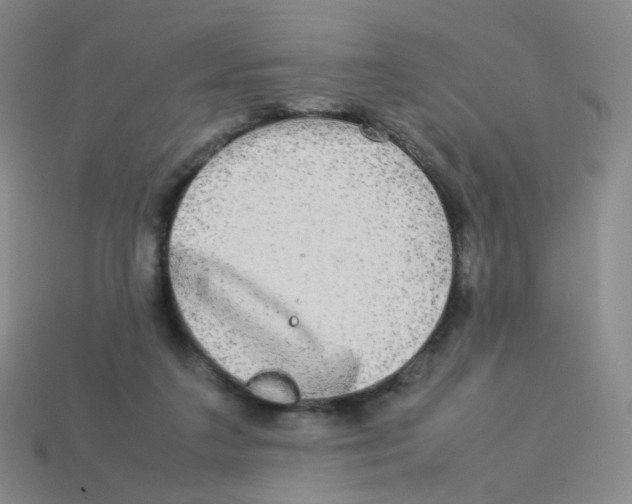 X0000113290211200910131033