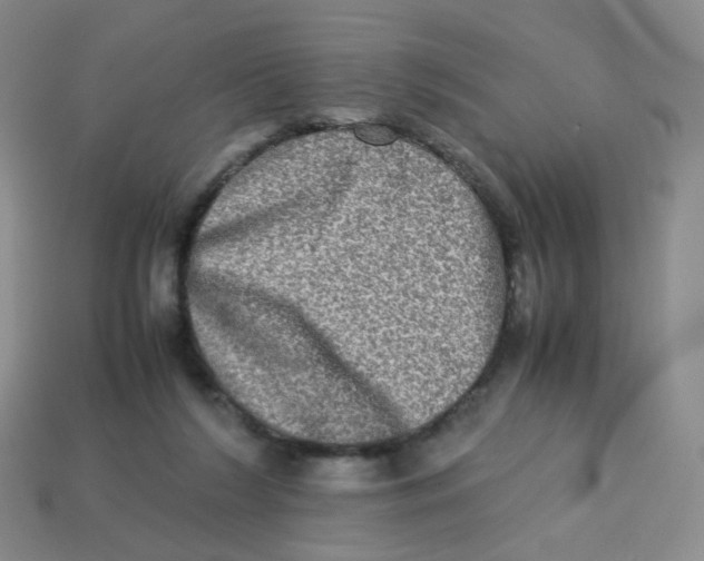 X0000113290212200910131033