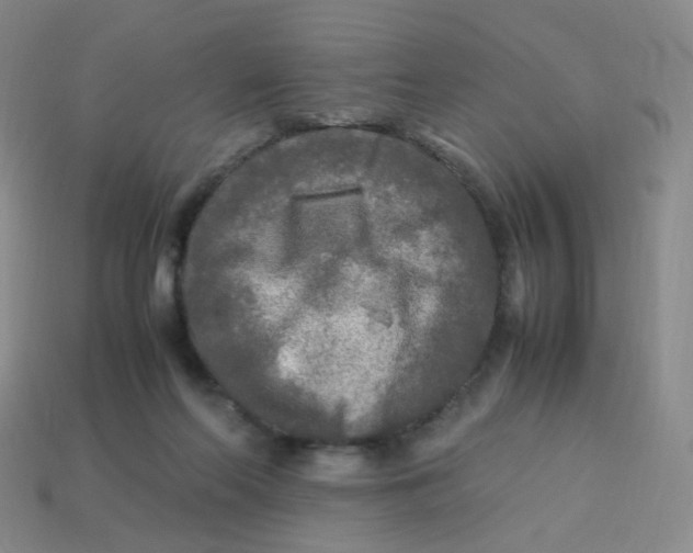 X0000113290214200910131033