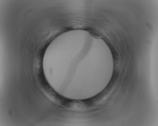 X0000113290215200910131033