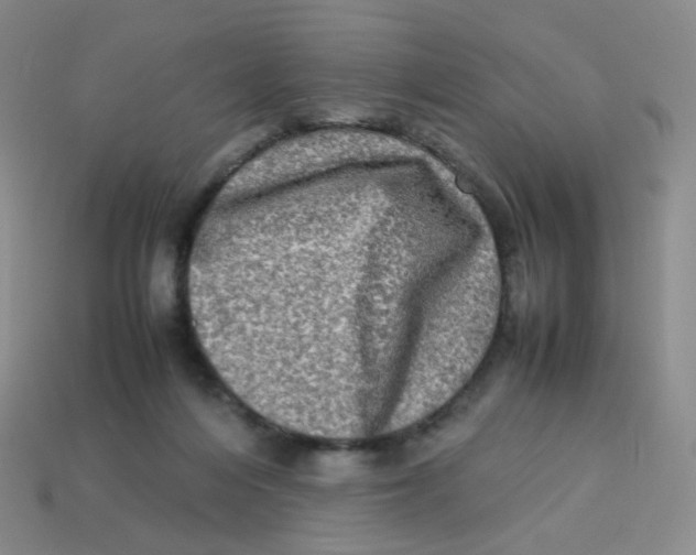 X0000113290216200910131033