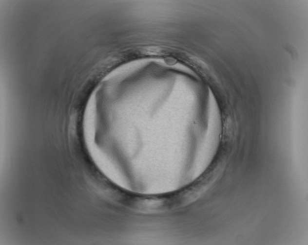 X0000113290217200910131033