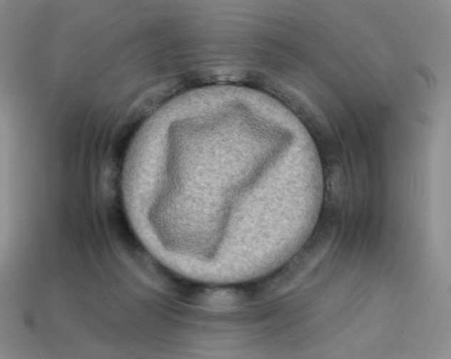 X0000113290218200910131033