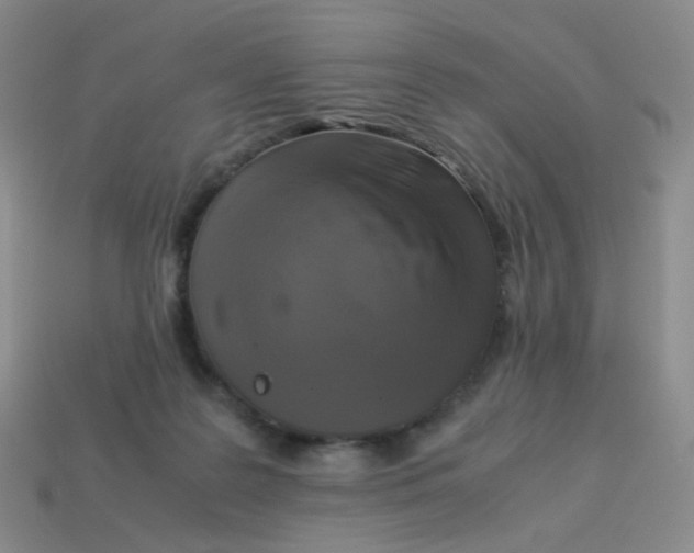 X0000113290219200910131033