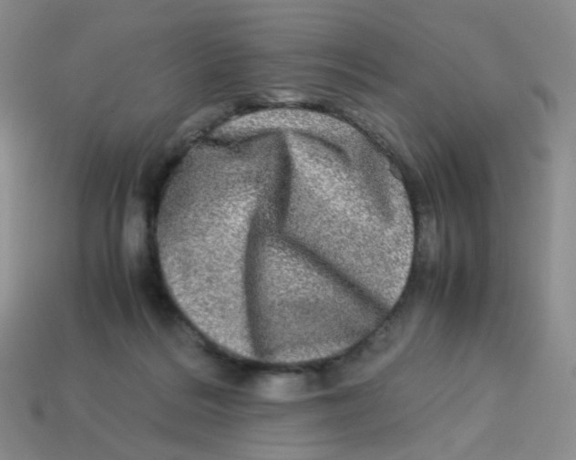 X0000113290220200910131033