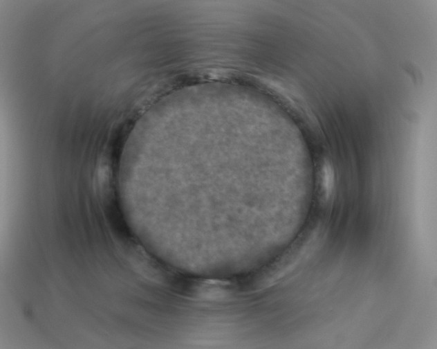 X0000113290222200910131033