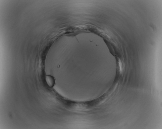 X0000113290223200910131033