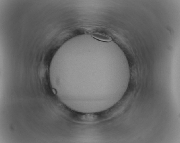 X0000113290225200910131033