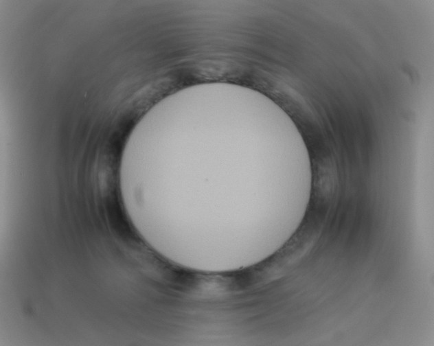 X0000113290226200910131033