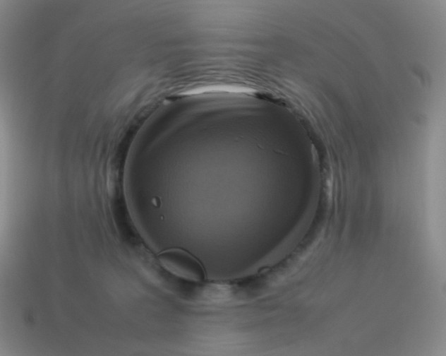 X0000113290227200910131033