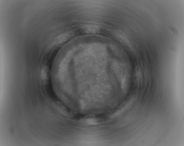 X0000113290228200910131033