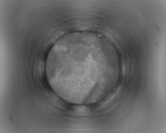 X0000113290230200910131033