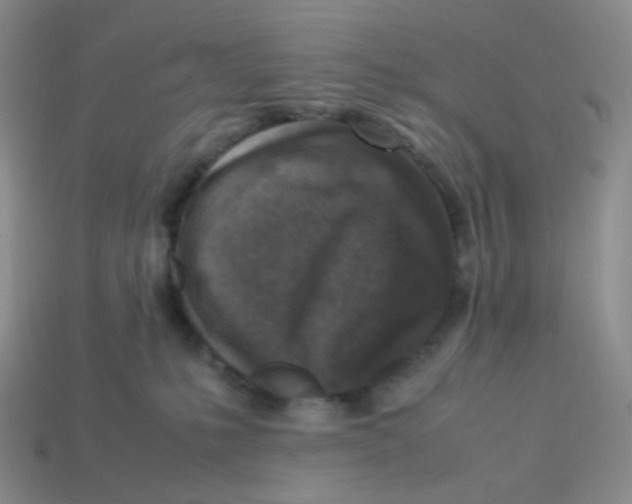 X0000113290231200910131033