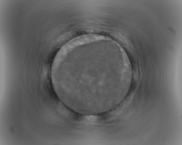 X0000113290233200910131033