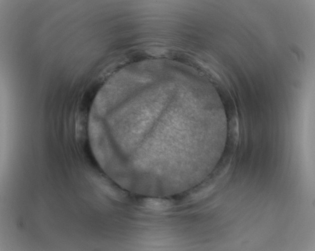 X0000113290234200910131032